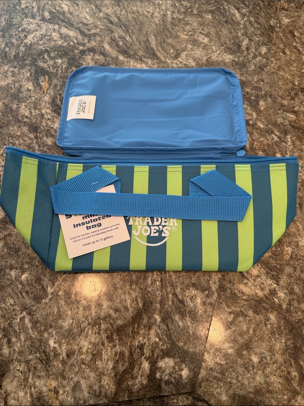 Trader Joe's Blue and Green Striped Mini Insulated Bag